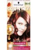 Country Colors Tone On Tone Colourant 58 Grand Canyon Copper Red Granat 