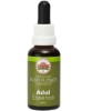 Adol Essence