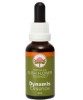 Dynamis Essence