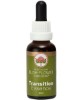 Transition Essence