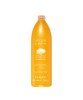 Argan Sublime Argan Oil Shampoo