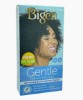 Gentle Cream Colour 1JB Jet Black