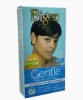 Gentle Cream Colour 2AB Ash Black