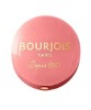 Bourjois Little Round Pot Blusher 95 Rose De Jaspe