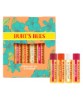 Beeswax Bounty Lip Balm Set
