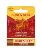 Burts Bees Salted Caramel Moisturizing Lip Balm
