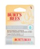 Ultra Conditioning Lip Balm With Kokum Butter