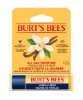 Burts Bees Vanilla Bean Lip Balm