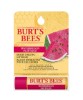 Watermelon Moisturizing Lip Balm
