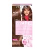 Casting Creme Gloss Conditioning Color 600 Dark Blonde