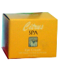 Citrus  Eye Cream