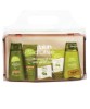 Olive Oil Travel Kit
