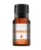 Frankincense Essential Oil