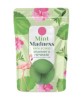 Elysium Spa Mint Madness Spearmint And Peppermint Bath Bombs