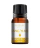 Ylang Ylang Essential Oil