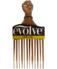 Evolve Afro Pic