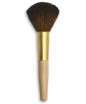 Makeup Brush
