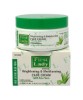 Fast Actives Aloe Vera Brightening And Moisturizing Fade Cream