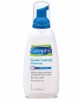 Gentle Foaming Cleanser