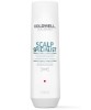 Dualsenses Scalp Specialist Deep Cleansing Shampoo