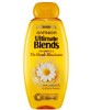 The Blonde Illuminator Shampoo 