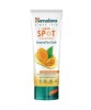 Himalaya Dark Spot Clearing Curcuma Face Scrub