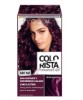 Colorista Permanent Gel Dark Purple