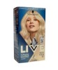 Intense Permanent Colour B11 Frosty Blonde