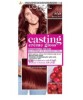 Conditioning Colour Berry Red
