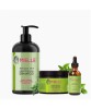 Mielle Rosemary Mint Hair Masque Shampoo And Oil Bundle