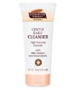 Gentle Daily Cleanser