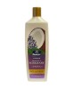 Coconut And Rosemary Shampoo