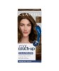 Permanent Root Touch Up 5G Medium Golden Brown