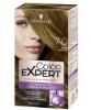 Color Expert Permanent Hair Color 7 0 Dark Blonde