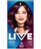 Color Intense Permanent Colours 046 Cyber Purple