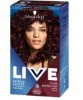 Color Intense Permanent Colours 047 Plum Perfection