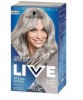 Urban Metalic Intense Permanent Colour U70 Blonde Quartz