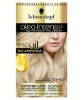 No Ammonia Permanent Colour Light Ashy Blonde 10 50