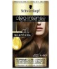No Ammonia Permanent Colour Gold Brown 4 60