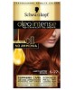 No Ammonia Permanent Colour Light Copper Brown 5 77