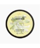 Moringa Softening Body Butter