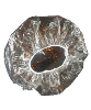 Disposable Shower Cap