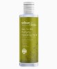 Urban Veda Neem Tea Tree Purifying Hydrating Toner