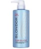 Blonder Blonde Seal And Care Shine Booster