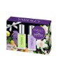 Fine Fragrance Lilac And Pear Gardenia And Classic Gift Set