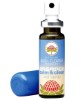 Essence Calm And Clear Oral Spray