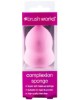Complexion Sponge