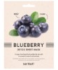 Blueberry Detox Sheet Mask