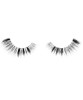 Blooming Eye Lash Lily