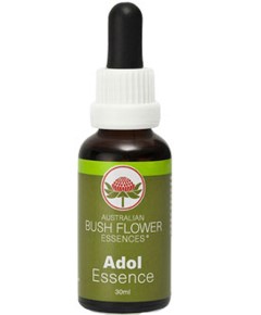 Adol Essence